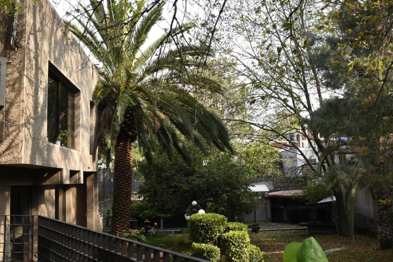 Casa Lulu Coyoacan Alvaro Obregon Exterior foto